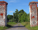 Zdjęcie przedstawia bramę i aleję  wjazdową do pałacu i parku w Bierzwnicy.                                                                                                                             