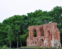 Zdjęcie przedstawia Ruiny Gotyckiego Kościoła w ujęciu od strony morza oraz znajdujące się za nim zielone drzewa                                                                                        