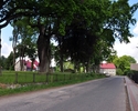 Zdjęcie przedstawia jedną z ulic w Trzygłowie przy której znajdują się Dęby Trzygłowa oraz budynki mieszkalne                                                                                           