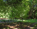 Zdjęcie przedstawia park w Klępczewie, po lewej stronie zagospodarowana część z ławkami .                                                                                                               