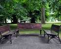 Zdjęcie przedstawia trzy parkowe ławki, ustawione na kształt podkowy oraz stare i potężne drzewa na dalszym planie                                                                                      