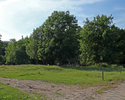 Zdjęcie przedstawia widok ogólny na park w Borucinie od strony południowej.                                                                                                                             