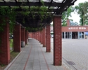 zdjęcie przedstawia korytarz z czerwonej cegły opleciony roślinnością oraz budynek główny dworca                                                                                                        