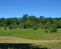 Zdjęcie przedstawia widok ogólny na park dworski w Bełtnie od strony południowej.                                                                                                                       