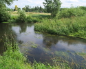 Zdjęcie przedstawia ujście rzeki Moszczenicy do rzeki Wieprzy.                                                                                                                                          