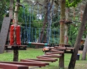 zdjęcie przedstawia podwieszane na drzewach drabinki oraz ściankę wspinaczkową                                                                                                                          