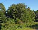Zdjęcie przedstawia widok ogólny na park dworski w Kłodzinie.                                                                                                                                           