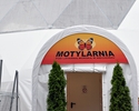 Zdjęcie przedstawia wejście do namiotu Motylarni, ich logo oraz dwie tuje zdobiące wrota.                                                                                                               