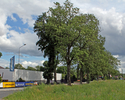 Zdjęcie przedstawia zabudowania w Ogartowie w widoku od strony skrzyżowania z drogą do Szczecinka.                                                                                                      