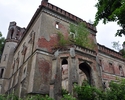 Zdjęcie przedstawia ruiny pałacu oraz porastającą go zieleń                                                                                                                                             