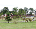 Eksponat Bałtyckiego Parku Dinozaurów we Wrzosowie                                                                                                                                                      