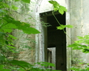 Widok przedstawia tajemniczo zarośnięty zielenią dwór w Kłodzinie.                                                                                                                                      