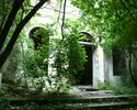 Widok przedstawia tajemniczo zarośnięty zielenią dwór w Kłodzinie.                                                                                                                                      