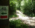 Zdjęcie przedstawia oznakowanie szlaku w lesie                                                                                                                                                          