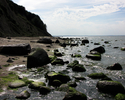 Zdjęcie przedstawia  kamienno-piaszczystą plażę.                                                                                                                                                        
