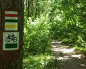 Oznaczenie trasy i ścieżki rowerowej na drzewie.                                                                                                                                                        