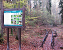 Zdjęcie przedstawia tablicę informacyjną, mostek i las                                                                                                                                                  