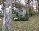 zdjęcie przedstawia drzewo z oznakowanie oraz pamiątkowy głaz z tablicą                                                                                                                                 