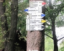 Zdjęcie przedstawia  oznakowanie na Górze Chełmskiej.                                                                                                                                                   