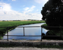 Zdjęcie przedstawia mostek i kanał wśród łąk                                                                                                                                                            