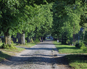 Zdjęcie przedstawia drogę dojazdową do parku dworskiego w Trzcianie.                                                                                                                                    