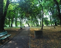 Zdjęcie przedstawia widok na park i znajdującą się w nim ścieżkę spacerową.                                                                                                                             