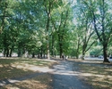 Zdjęcie przedstawia Park Pomorzański wraz ze spacerową ścieżką.                                                                                                                                         