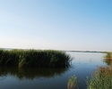 Zdjęcie przedstawia widok na Jezioro Resko Przymorskie z jego zachodniego brzegu.                                                                                                                       