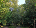 Zdjęcie przedstawia aleję wejściową parku miejskiego w Świdwinie. Widok od strony ulicy Drawskiej.                                                                                                      