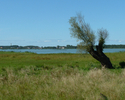Zdjęcie przedstawia jezioro Lwia Łuża.                                                                                                                                                                  