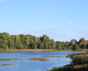 Na zdjęciu widać jeden z brzegów jeziora Wielatowo.                                                                                                                                                     