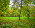Na zdjęciu znajdują się zielone tereny parku dworskiego w Boninie.                                                                                                                                      