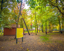 Zdjęcie przedstawia tereny Parku Linowego Tukan w Mielnie.                                                                                                                                              