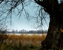 Widok przedstawia Jezioro Kościelne.                                                                                                                                                                    