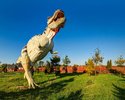 Wrzosowo - Bałtycki Park Dinozaurów, Tyrannosaurus rex