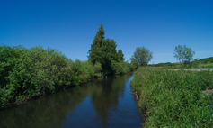 Rzeka Grabowa