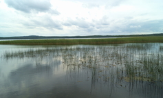 Jezioro Łętowskie oraz  okolice Kępic