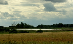 Łubie Lake [Głazów Lake] 