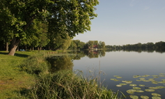 Lake Miejskie [Municipal Lake]