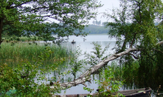 Jezioro Wilczkowo gm. Złocieniec