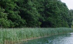 Jezioro Sadowskie