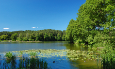 Jezioro Młyńskie