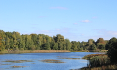 Jezioro Wielatowo