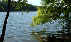 Der Kamienica – See