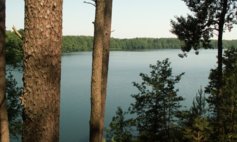 Jezioro Krzywe Dębsko w gminie Kalisz Pomorski