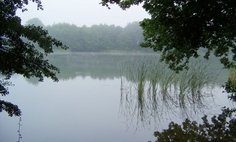 Jezioro Wilczkowo gm. Brzeżno