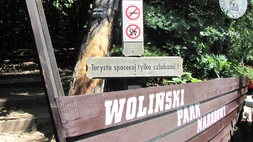 Woliński Park Narodowy, dyrekcja w Międzyzdrojach