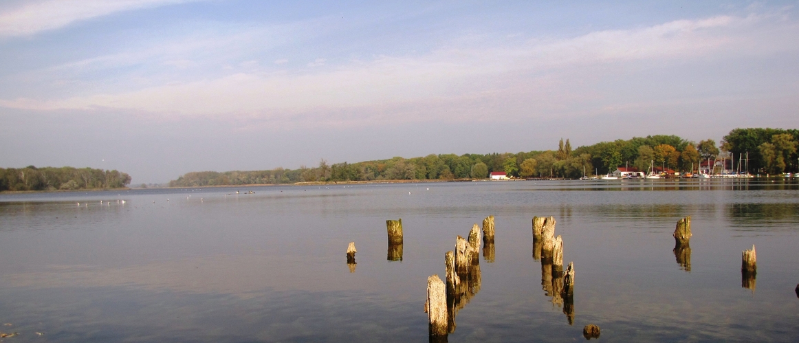 Jezioro Myśliborskie - stary pomost