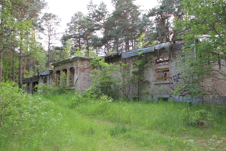 Ruiny Willi Guderiana
