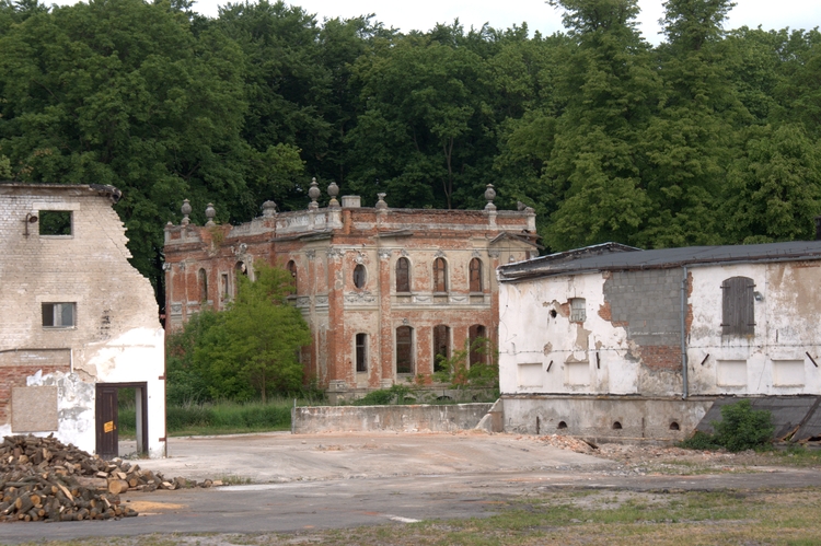 Ruina pałacu w Sarniku   